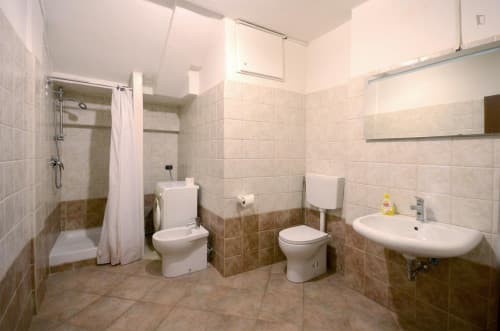 Big double room close to Università IULM - Gallery - 9
