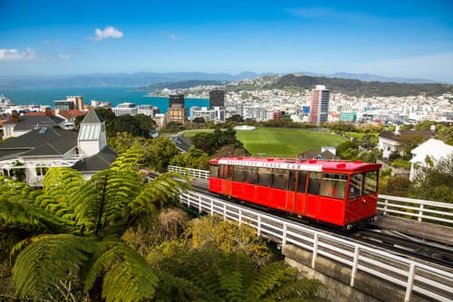 Student Accommodation in Wellington