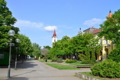 Student Accommodation in Mokrin